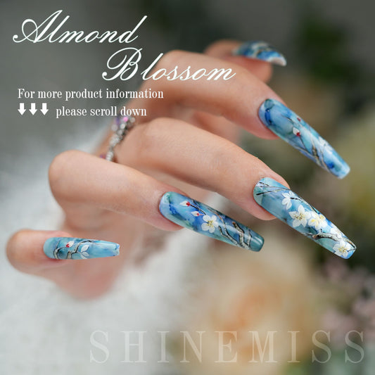 Shinemiss Almond blossoms